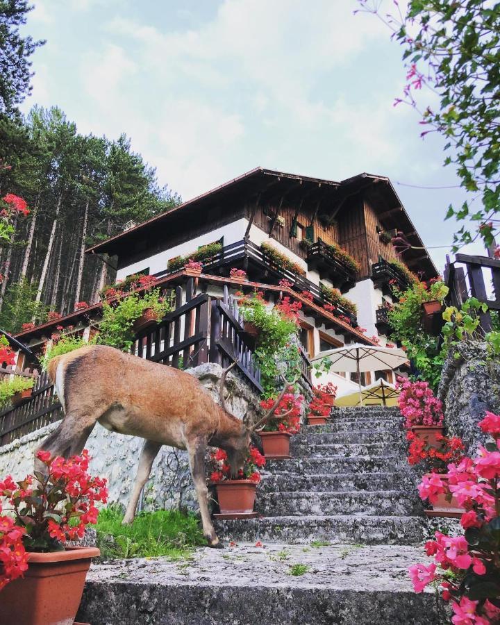 Hotel Garni Mille Pini Scanno Εξωτερικό φωτογραφία